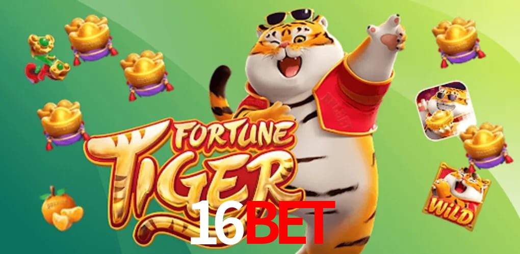 Game Statistics 16Bet