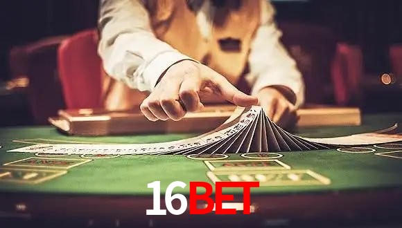 Sports Statistics 16Bet
